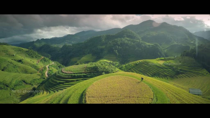 Kỳ vọng thành 